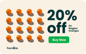 Popup Offer - 20% Off on Nagpur Oranges