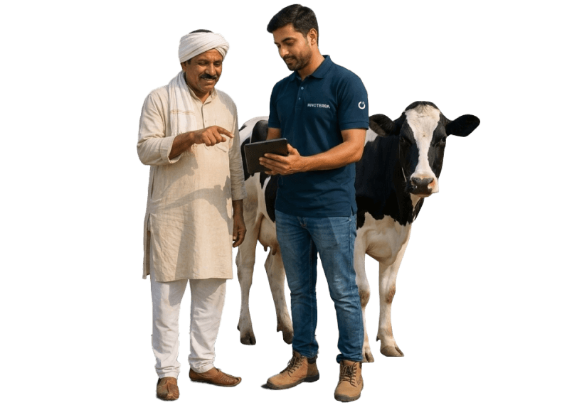 IMG-Milklane tab cow